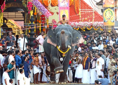 'Justice for jumbos': Kerala HC comes to the aid of elephants, issues strict guidelines | 'Justice for jumbos': Kerala HC comes to the aid of elephants, issues strict guidelines 'Justice for jumbos': Kerala HC comes to the aid of elephants, issues strict guidelines | 'Justice for jumbos': Kerala HC comes to the aid of elephants, issues strict guidelines