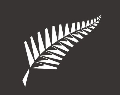 New Zealand cricketer Stephen Murdoch announces retirement | New Zealand cricketer Stephen Murdoch announces retirement