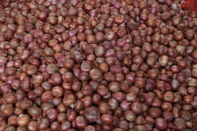 Govt allows additional 10,000 tonnes of onion exports to UAE | Govt allows additional 10,000 tonnes of onion exports to UAE