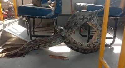 Python found on school bus in UP's Raebareli | Python found on school bus in UP's Raebareli Python found on school bus in UP's Raebareli | Python found on school bus in UP's Raebareli