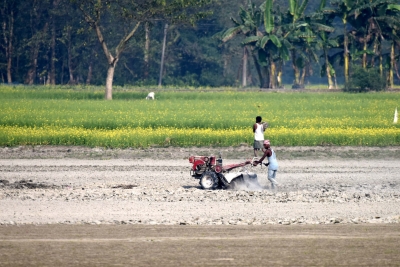 33.40 lakh Ha increase in kharif sowing area over normal | 33.40 lakh Ha increase in kharif sowing area over normal