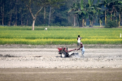 A year after IDEA moved, it's still not clear who owns farmers' data | A year after IDEA moved, it's still not clear who owns farmers' data A year after IDEA moved, it's still not clear who owns farmers' data | A year after IDEA moved, it's still not clear who owns farmers' data