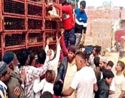UP poll aspirant distributes free chicken | UP poll aspirant distributes free chicken