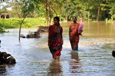 Deforestation, water flow diversion resulting in flash floods in north Bengal | Deforestation, water flow diversion resulting in flash floods in north Bengal