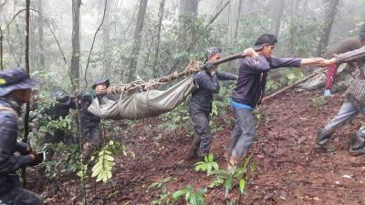 Thai national parks to reopen after over 2 months | Thai national parks to reopen after over 2 months Thai national parks to reopen after over 2 months | Thai national parks to reopen after over 2 months