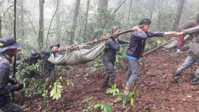 Thai national parks to reopen after over 2 months | Thai national parks to reopen after over 2 months