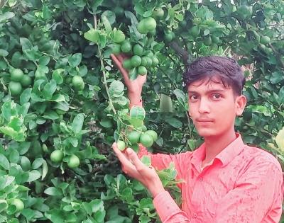 Seedless lemons did it: 21-year-old from Muzaffarpur gets Rashtriya Udyan Ratna | Seedless lemons did it: 21-year-old from Muzaffarpur gets Rashtriya Udyan Ratna Seedless lemons did it: 21-year-old from Muzaffarpur gets Rashtriya Udyan Ratna | Seedless lemons did it: 21-year-old from Muzaffarpur gets Rashtriya Udyan Ratna