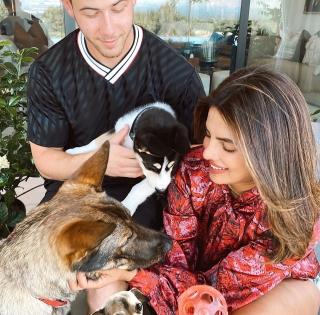 Priyanka, Nick welcome new member to their family | Priyanka, Nick welcome new member to their family