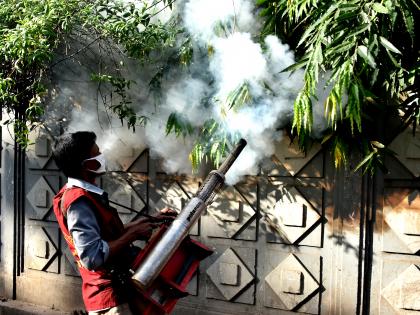 B'desh reports 57,127 dengue cases, 273 deaths so far this year | B'desh reports 57,127 dengue cases, 273 deaths so far this year