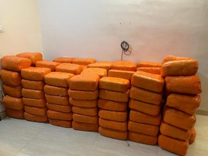 Indore: DRI records largest-ever cannabis seizure of 3,092 kg, 3 arrested | Indore: DRI records largest-ever cannabis seizure of 3,092 kg, 3 arrested