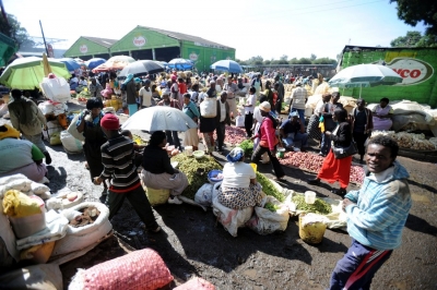 Kenya reintroduces broad bean farming to boost food security | Kenya reintroduces broad bean farming to boost food security Kenya reintroduces broad bean farming to boost food security | Kenya reintroduces broad bean farming to boost food security