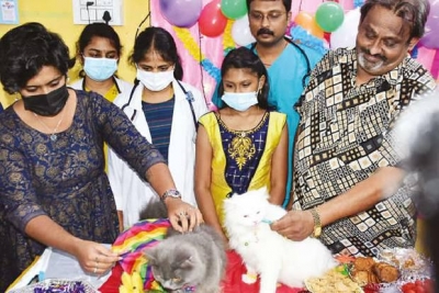 Man hosts baby shower for pregnant Persian cats in Coimbatore | Man hosts baby shower for pregnant Persian cats in Coimbatore