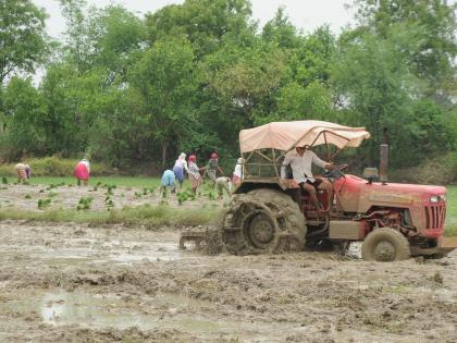 Rural consumption at six quarter low led by declines in tractor sales, farm exports | Rural consumption at six quarter low led by declines in tractor sales, farm exports Rural consumption at six quarter low led by declines in tractor sales, farm exports | Rural consumption at six quarter low led by declines in tractor sales, farm exports