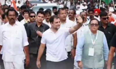 Whether I contest for party president's post or not, only poll will tell: Rahul Gandhi | Whether I contest for party president's post or not, only poll will tell: Rahul Gandhi