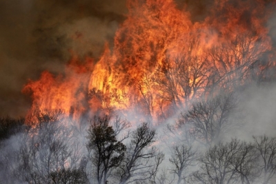 Over 1,600 firefighters battle new blaze in California | Over 1,600 firefighters battle new blaze in California