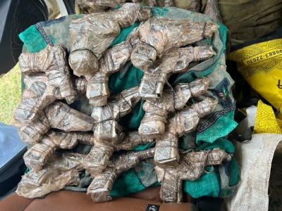 Punjab Police bust inter-state weapon smuggling module | Punjab Police bust inter-state weapon smuggling module Punjab Police bust inter-state weapon smuggling module | Punjab Police bust inter-state weapon smuggling module