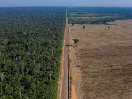 Amazon deforestation falls to lowest level in 6 yrs | Amazon deforestation falls to lowest level in 6 yrs
