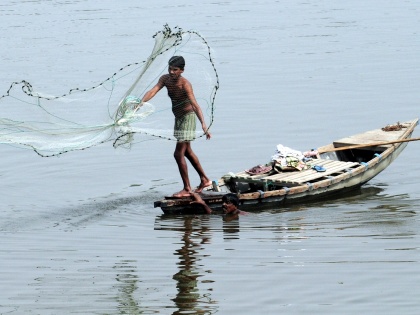 NFF demands action against illegal fish catching | NFF demands action against illegal fish catching