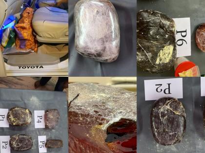 TN: 18.1 kg ambergris valued at Rs 31.6 crore seized, four arrested | TN: 18.1 kg ambergris valued at Rs 31.6 crore seized, four arrested