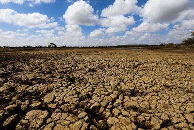 Kenya declares drought national disaster | Kenya declares drought national disaster