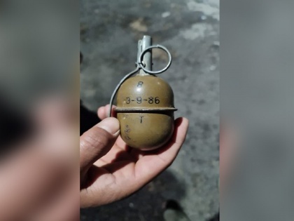 JeM terrorist held with grenades in J-K's Tral | JeM terrorist held with grenades in J-K's Tral
