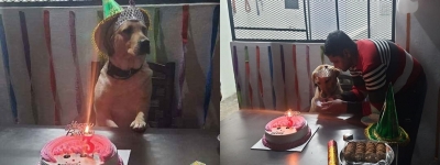 UP Police celebrates sniffer dog's birthday | UP Police celebrates sniffer dog's birthday