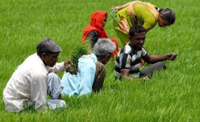 Enhancement in allocation of PM-Kisan, MGNREGS a possibility to provide relief to rural economy | Enhancement in allocation of PM-Kisan, MGNREGS a possibility to provide relief to rural economy Enhancement in allocation of PM-Kisan, MGNREGS a possibility to provide relief to rural economy | Enhancement in allocation of PM-Kisan, MGNREGS a possibility to provide relief to rural economy