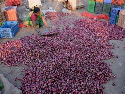 Onion prices dip after hike in minimum export price: Govt | Onion prices dip after hike in minimum export price: Govt Onion prices dip after hike in minimum export price: Govt | Onion prices dip after hike in minimum export price: Govt