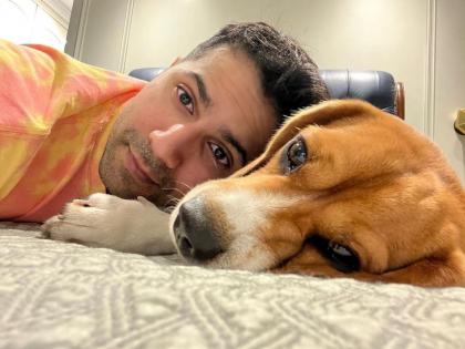 Varun drops glimpse of ‘Sundayzzz’ with Joey; 'cutest duo', say fans | Varun drops glimpse of ‘Sundayzzz’ with Joey; 'cutest duo', say fans Varun drops glimpse of ‘Sundayzzz’ with Joey; 'cutest duo', say fans | Varun drops glimpse of ‘Sundayzzz’ with Joey; 'cutest duo', say fans
