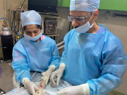 Pune pet dog undergoes laparoscopic gall-bladder removal surgery | Pune pet dog undergoes laparoscopic gall-bladder removal surgery