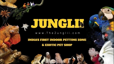 TN Animal Welfare Board to conduct inspection of petting zoo | TN Animal Welfare Board to conduct inspection of petting zoo TN Animal Welfare Board to conduct inspection of petting zoo | TN Animal Welfare Board to conduct inspection of petting zoo