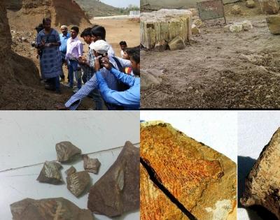 Jharkhand's Jurassic Park a treasure trove of prehistoric fossils | Jharkhand's Jurassic Park a treasure trove of prehistoric fossils