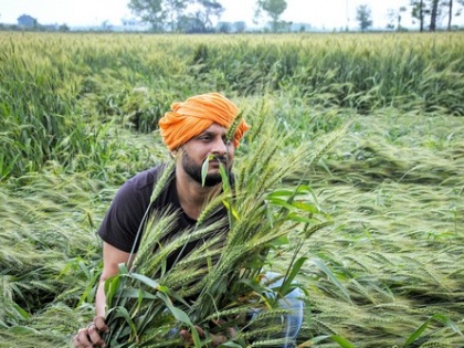 Punjab govt has failed to provide relief for crop loss: Congress leader | Punjab govt has failed to provide relief for crop loss: Congress leader