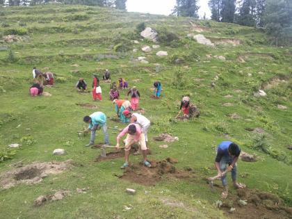 Assam eyes nine Guinness Records with mega plantation drive | Assam eyes nine Guinness Records with mega plantation drive