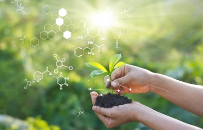 Global body meeting to set plant health standards | Global body meeting to set plant health standards Global body meeting to set plant health standards | Global body meeting to set plant health standards