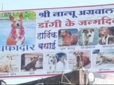 This dog has his day in Madhya Pradesh town | This dog has his day in Madhya Pradesh town