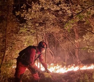 800 fire fighters battle blaze in German national park | 800 fire fighters battle blaze in German national park