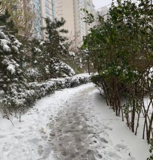 China issues yellow alert for cold wave | China issues yellow alert for cold wave China issues yellow alert for cold wave | China issues yellow alert for cold wave