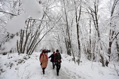More snow falls over Shimla, Manali, Dalhousie | More snow falls over Shimla, Manali, Dalhousie