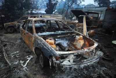 445 people died from Aus bushfires smoke: Experts | 445 people died from Aus bushfires smoke: Experts