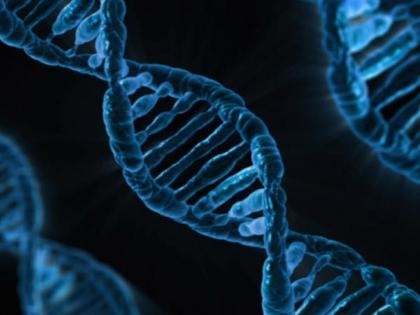 Our genes may influence depression to bipolar disorder, schizophrenia: Study | Our genes may influence depression to bipolar disorder, schizophrenia: Study Our genes may influence depression to bipolar disorder, schizophrenia: Study | Our genes may influence depression to bipolar disorder, schizophrenia: Study