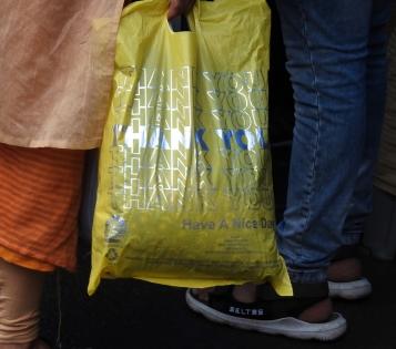 'Cost of alternatives will come down as cheaper plastic items go out of circulation' | 'Cost of alternatives will come down as cheaper plastic items go out of circulation'