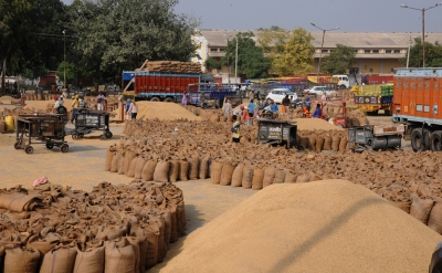 Yogi govt purchases 28.17 lakh tonnes paddy | Yogi govt purchases 28.17 lakh tonnes paddy Yogi govt purchases 28.17 lakh tonnes paddy | Yogi govt purchases 28.17 lakh tonnes paddy