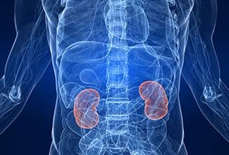 Scientists find genetic code behind rare kidney cancer | Scientists find genetic code behind rare kidney cancer Scientists find genetic code behind rare kidney cancer | Scientists find genetic code behind rare kidney cancer