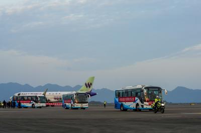 Domestic passenger flights to resume operations in Hubei | Domestic passenger flights to resume operations in Hubei