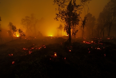 Forest fire in Czech Republic under 'control' | Forest fire in Czech Republic under 'control'