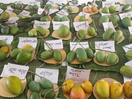 Atishi inaugurates 3-day Mango Festival in Delhi | Atishi inaugurates 3-day Mango Festival in Delhi