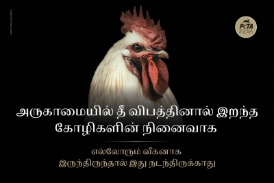 PETA erects billboard memorialising chickens killed in poultry farm blaze in TN | PETA erects billboard memorialising chickens killed in poultry farm blaze in TN