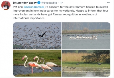 Thol, Sultanpur among 4 wetlands to get Ramsar tag | Thol, Sultanpur among 4 wetlands to get Ramsar tag