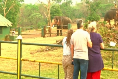 Tourists flock to Theppakadu after Oscar for 'The Elephant Whisperers' | Tourists flock to Theppakadu after Oscar for 'The Elephant Whisperers'